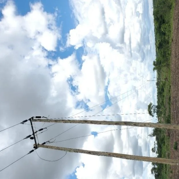 Buckreef overhead line works