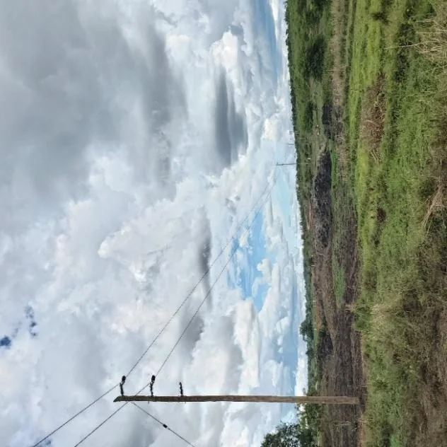 Buckreef relocated line section