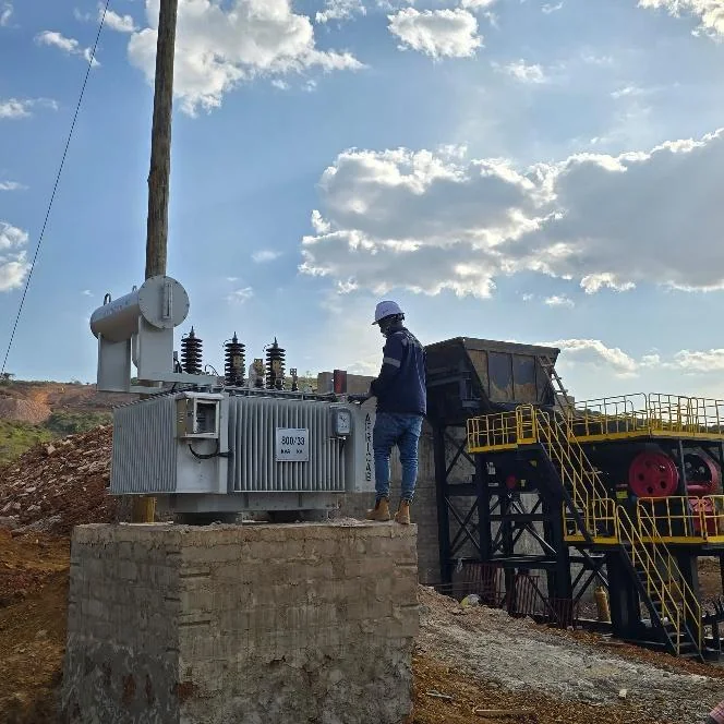 Completed Mwazimba transformer substation