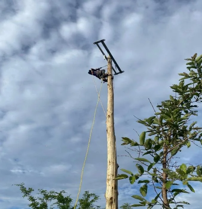 SOJEM power-line poles