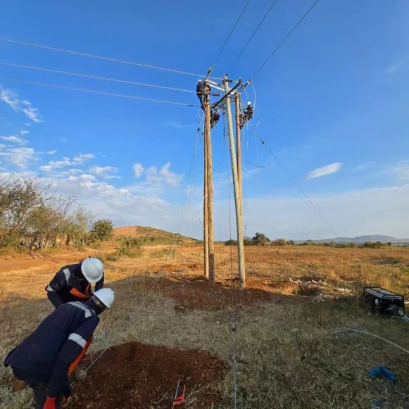 Three-member pole and stay installation