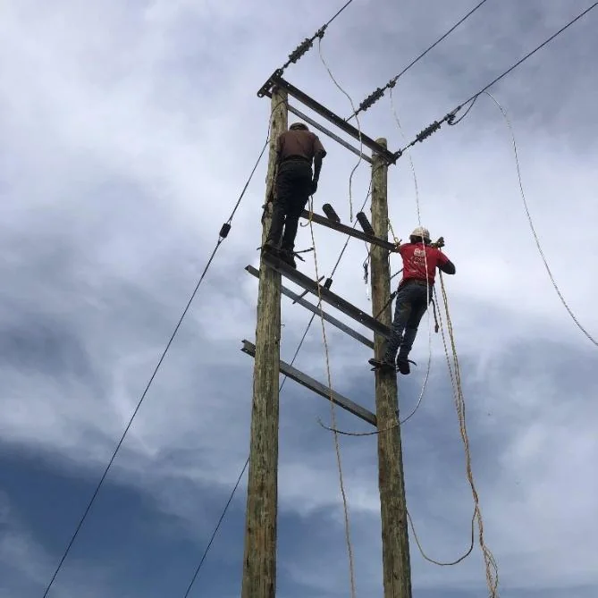 VIRA overhead power line